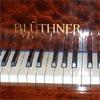 Bluthner pianos wanted - upright or grand piano