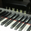 Yamaha pianos wanted - upright or grand piano